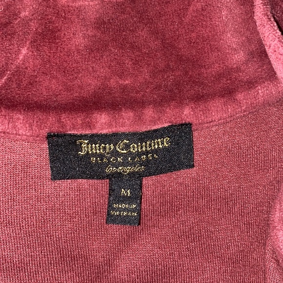 JUICY COUTURE Velvet Dress - Picture 4 of 4